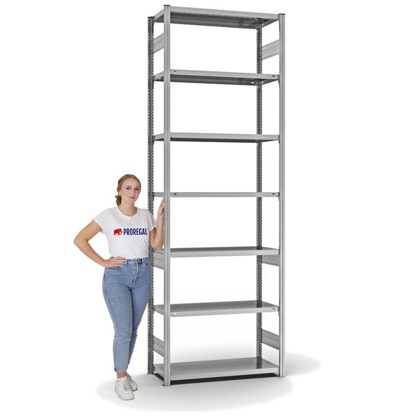 PROREGAL Fachbodenregal Stecksystem T-Profil Medium-Duty Grundregal HxBxT 300 x 100 x 40 cm 7 Ebenen Fachlast 225 kg Beidseitig Nutzbar Verzinkt