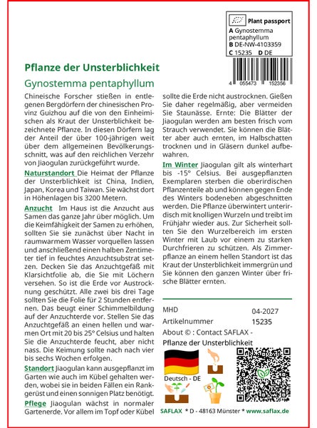 SAFLAX  - Pflanze der Unsterblichkeit - Gynostemma pentaphyllum - 30 Samen