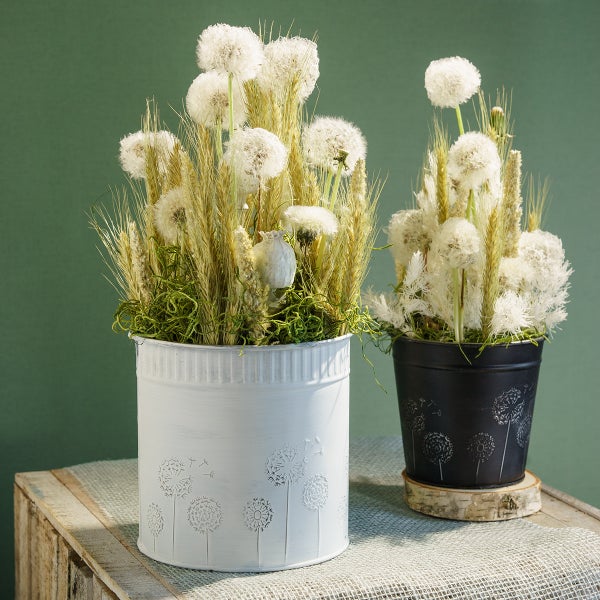 Dekoration mit Löwenzahn in Töpfen auf einem Tisch