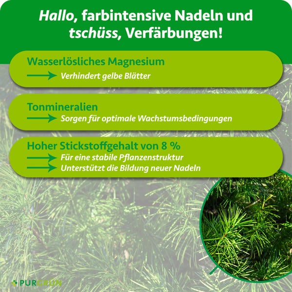 Infografik zu Nadelgehölzdünger mit Magnesium, Tonmineralien und 8 Prozent Stickstoff für gesundes Wachstum. Purgrün Logo.
