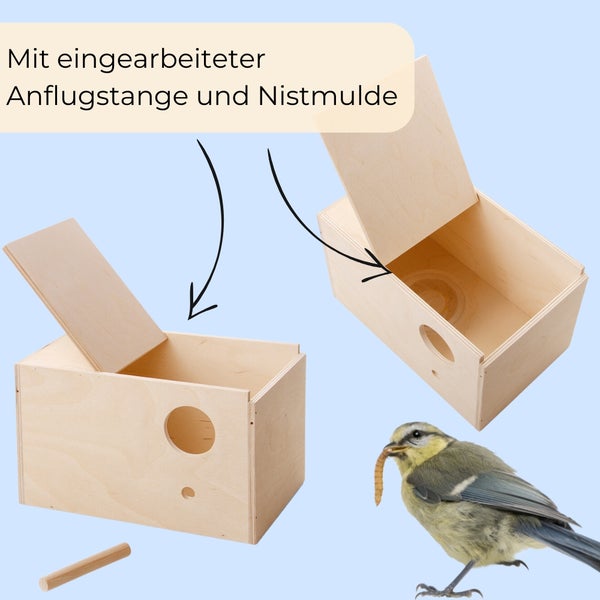 Zwei hölzerne Nistkästen mit Anflugstange, Nistmulde und einer Blaumeise mit Futter