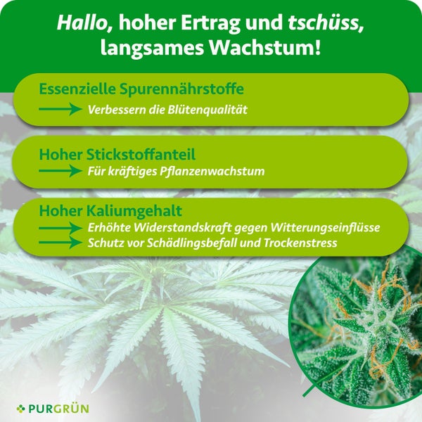 Infografik zum Purgrün Pflanzendünger mit Vorteilen wie essenzielle Spurennährstoffe, Stickstoff und Kalium für kräftiges Wachstum.
