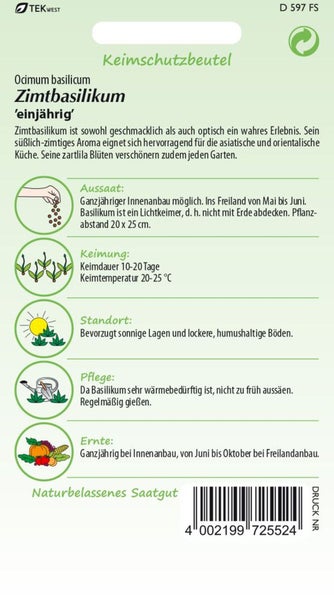 Saatguttüte Zimtbasilikum