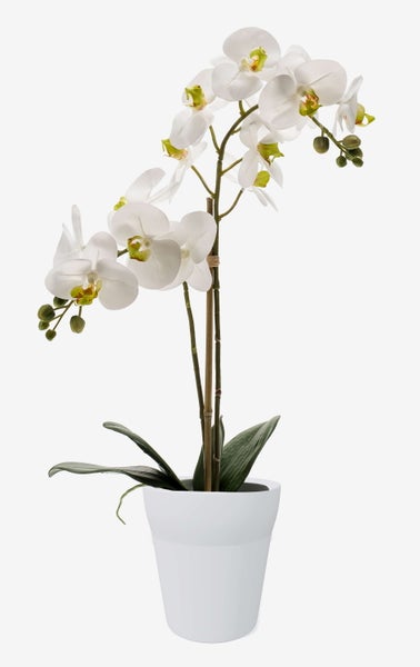 Künstliche Orchidee Phalaenopsis in Weiß im weißen Topf mit grünen Blättern.