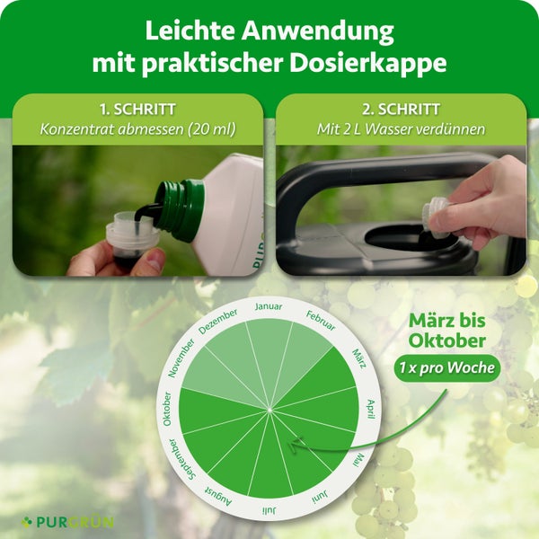 Anwendungshinweise für Purgrün Flüssigdünger mit Dosieranleitung und saisonaler Grafik für die Ausbringung von März bis Oktober.