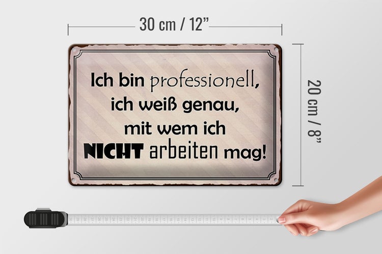 Blechschild Spruch 30x20cm ich bin professionell ich weiß