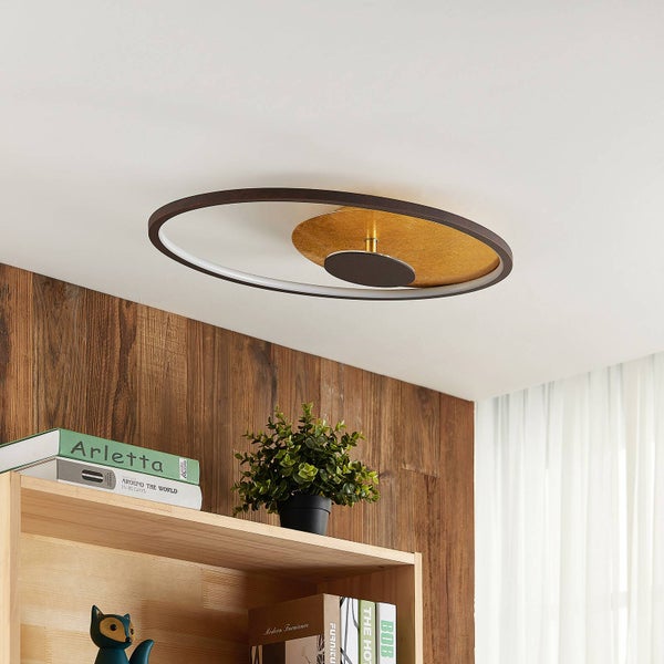 Moderne LED-Deckenleuchte in Ringform mit goldfarbener Akzentplatte an weißer Decke. Darunter ein helles Holzregal mit Pflanzen und Büchern.