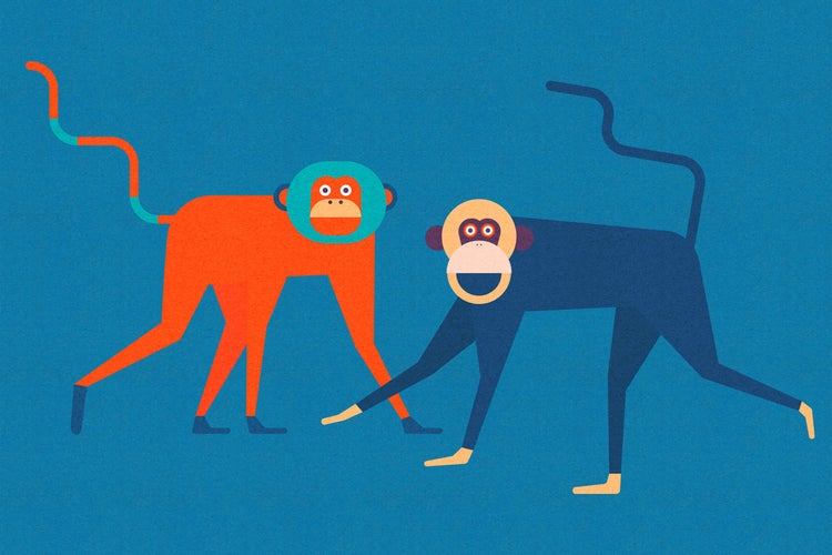 Illustration von zwei stilisierten Affen