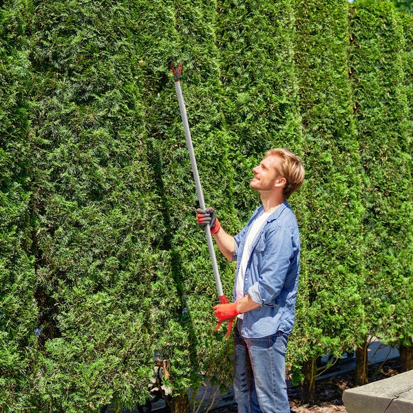 Mann schneidet Hecke mit einer Heckenschere