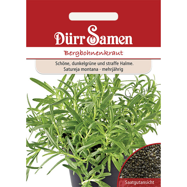 Bergbohnenkraut Saatgut von Dürr Samen