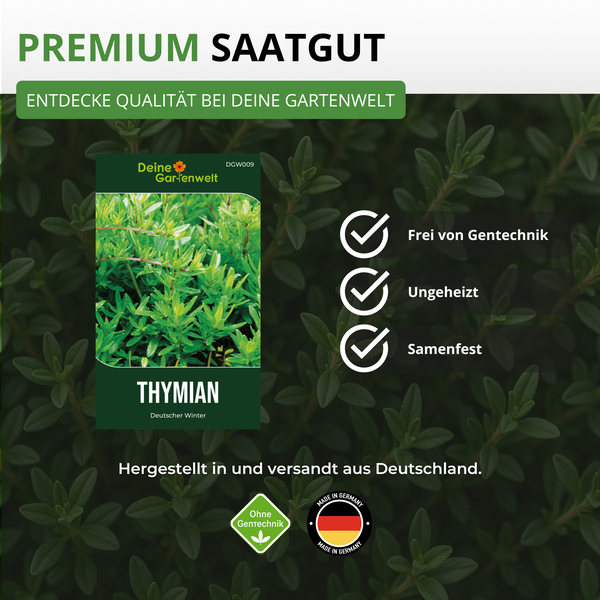Premium Saatgut Thymian Deutscher Winter von Deine Gartenwelt. Samenfest, gentechnikfrei, ungeheizt. Hergestellt in Deutschland.