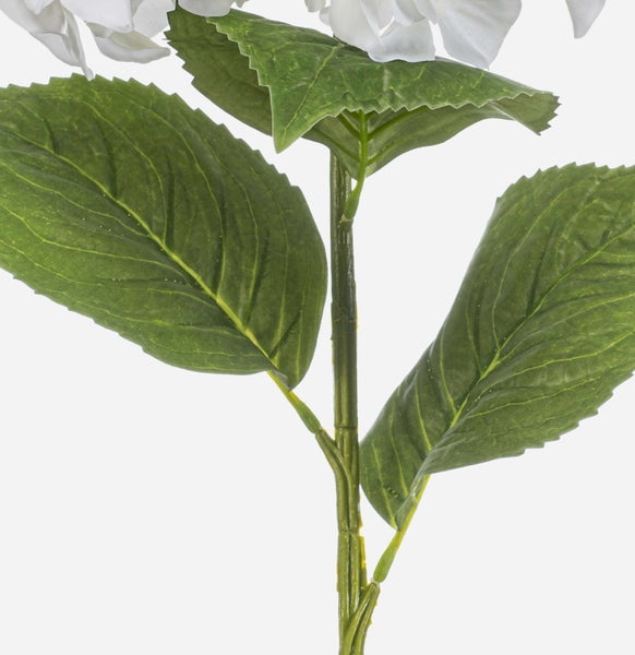 Künstliche Magnolie im schwarzen Topf, grüne Blätter mit brauner Unterseite, naturgetreuer Stamm.