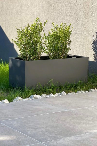 Rechteckiger Pflanzkübel aus Metall im Garten mit zwei grünen Sträuchern auf einer Rasenfläche neben einer Terrasse.