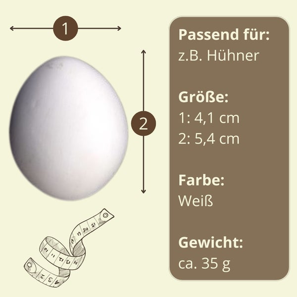 Illustration eines weißen Hühnereis mit Größenangaben