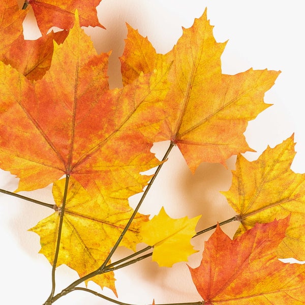 Künstlicher Ahornzweig mit herbstlichen Blättern in Orange, Gelb und Rot.