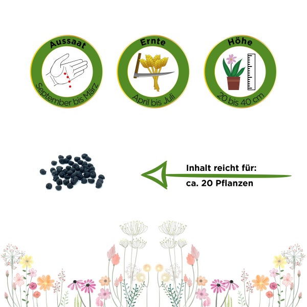 Bärlauch Samen von Deine Gartenwelt