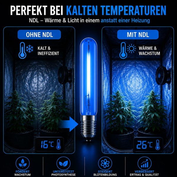 Infografik zum Vergleich von Pflanzenwachstum mit und ohne Natriumdampflampe in einer Growbox bei 16 Grad Celsius und 26 Grad Celsius.