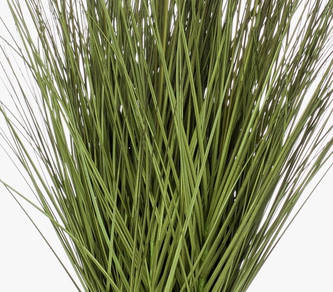 Künstliche Hängepflanze Pilea mit grün-weiß gemusterten Blättern und Kunststoffstiel.