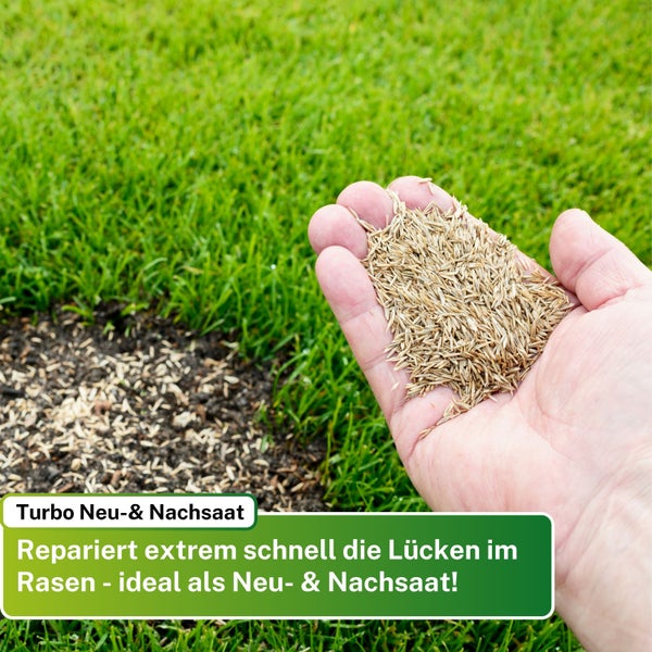 Greenyp Turbo Nachsaat I RSM Rasensamen Nachsaat 3.2 I 5kg für 200m² I Schnellkeimender Rasen I Rasensaat Reparaturrasen Grassamen