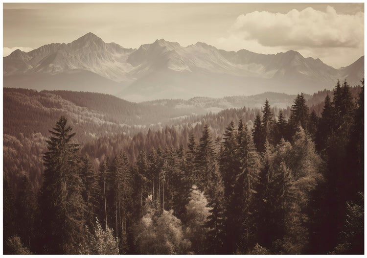Landschaftsbild mit Wald und Bergen