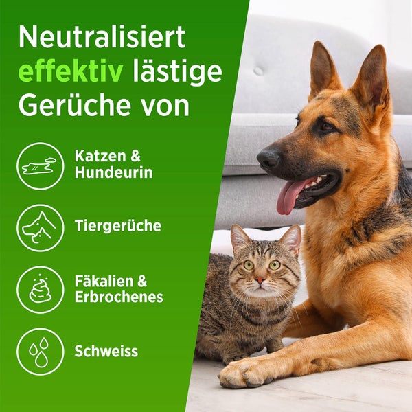 PRINOX® 1030ml Enzymreiniger Konzentrat inkl. Mischflasche I STARKER GERUCHSENTFERNER I Ergibt bis zu 40L Geruchsneutralisierer I Beseitigt Hundeurin, Katzenurin Geruch tiefgreifend uvm. I Made in DE