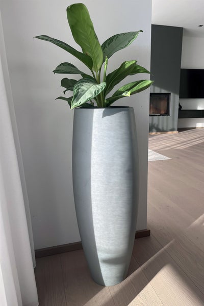 Hohes, graues, ovales Pflanzgefäß mit einer grünblättrigen Pflanze in einem hellen, modernen Wohnzimmer mit Holzboden und weißen Wänden.