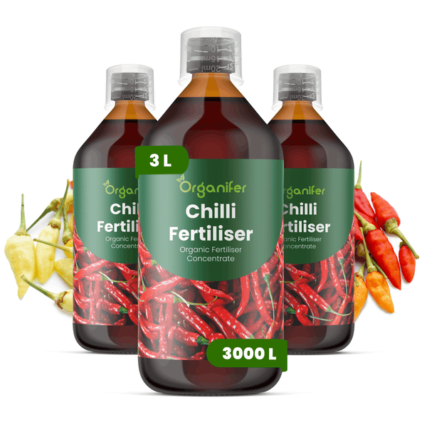 Organifer Bio-Chili-Dünger Konzentrat, 3 Liter Set aus drei Flaschen mit Messkappe und Abbildung von Chilischoten.