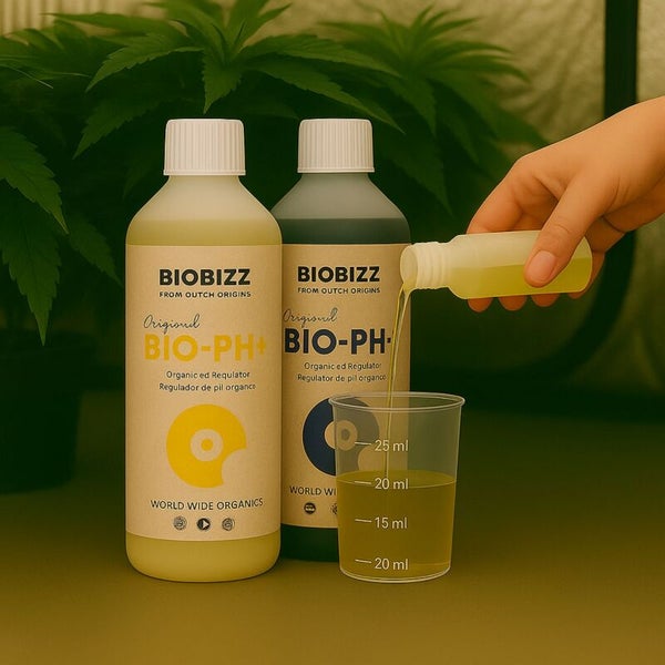 Zwei Flaschen Biobizz pH-Regulatoren Bio-PH Plus und Bio-PH Minus, eine Hand gießt Flüssigkeit in einen Messbecher neben einer Pflanze.
