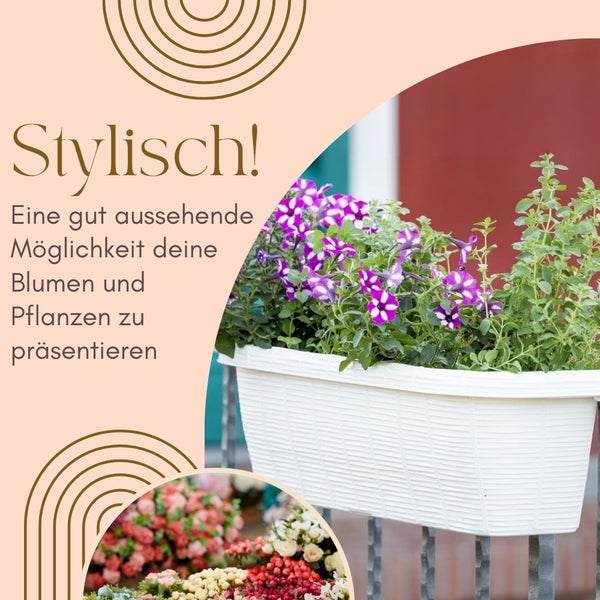 Blumenkasten mit lila und grünen Pflanzen