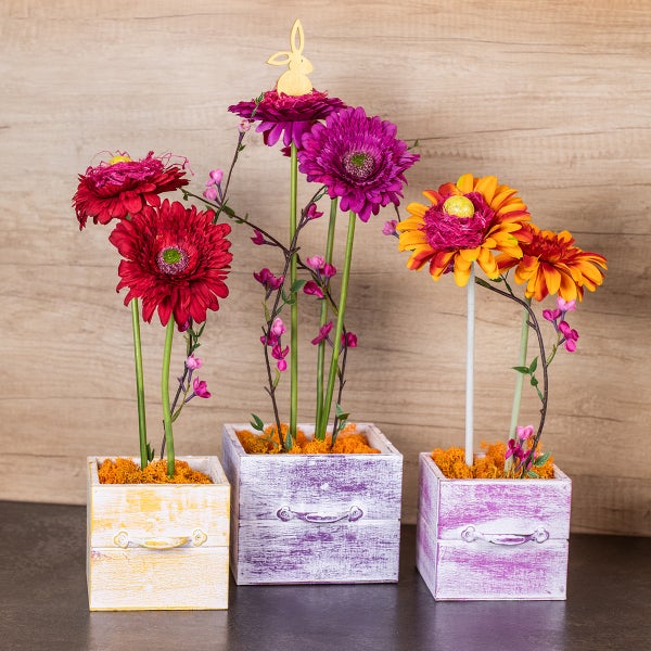 Dekorative Gerbera in Holzkisten mit Osterhasen-Dekoration