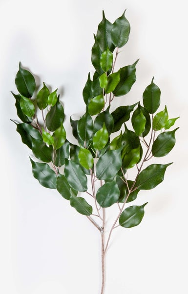 Grüne künstliche Ficus-Blätter in Detailaufnahme mit feiner Blattstruktur und spitzen Enden an verzweigten Stielen.