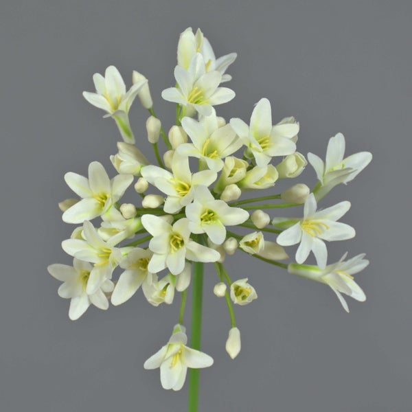 Künstliche Blume, weiße Blütendolde mit grünem Stiel