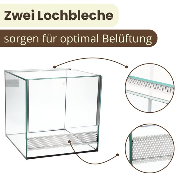 Glasterrarium mit zwei Lochblechen für optimale Belüftung