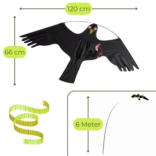 Abbildung eines Drachens in Krähenform mit den Maßen 120 mal 66 Zentimeter und einer sechs Meter langen Schnur.