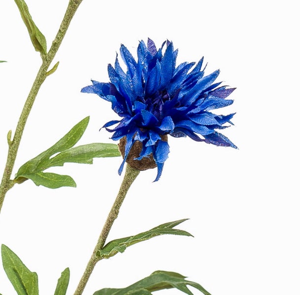 Künstliche Kornblume mit blauen Blüten und grünen Blättern.