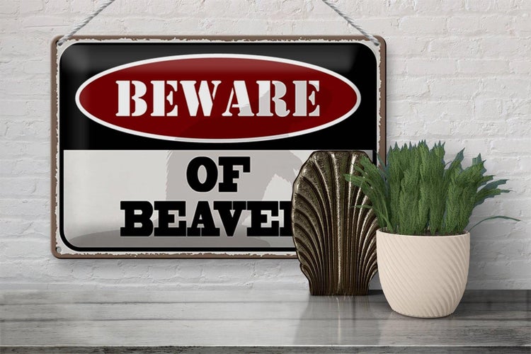 Blechschild Spruch 30x20cm beware of beaver