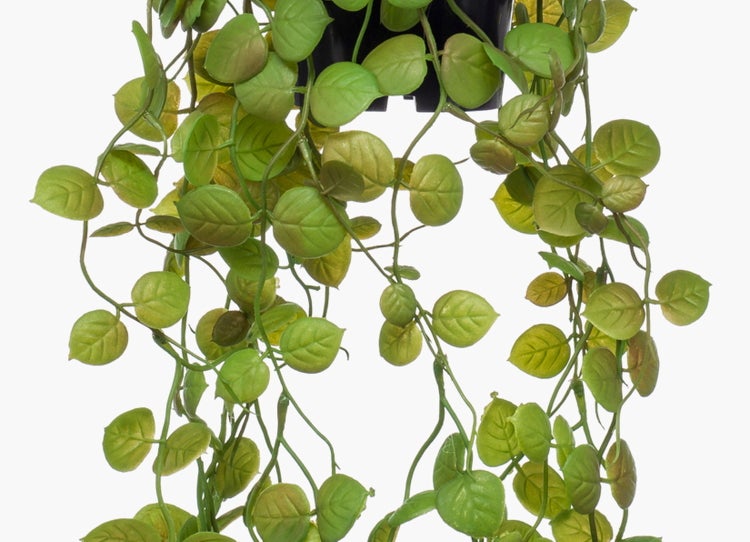 Künstliche Hängepflanze mit kleinen grünen Blättern in einem schwarzen Topf.