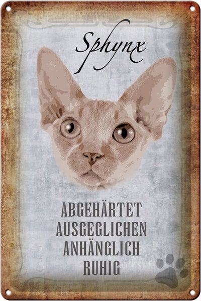Blechschild Spruch 20x30cm Sphynx Katze Schild deko