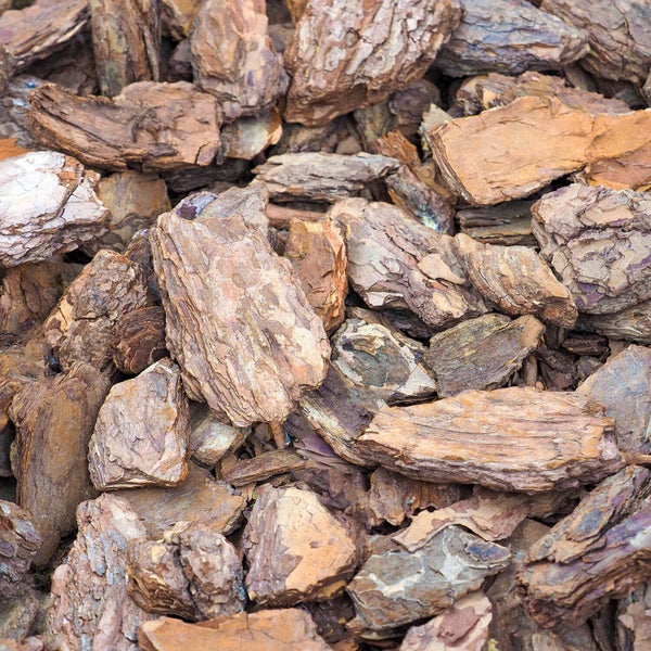 Grobe Pinienrinde zur Bodenabdeckung und Beetgestaltung.