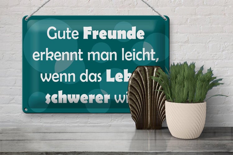 Blechschild Spruch 30x20cm Gute Freunde grünes