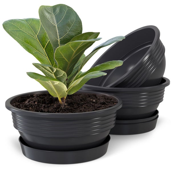 Plastard Pflanzschale 3er-Set in Anthrazit Ø 45 x 16 cm mit Untersetzer – wetterfest, frostbeständig, ideal für Garten, Balkon & Küche