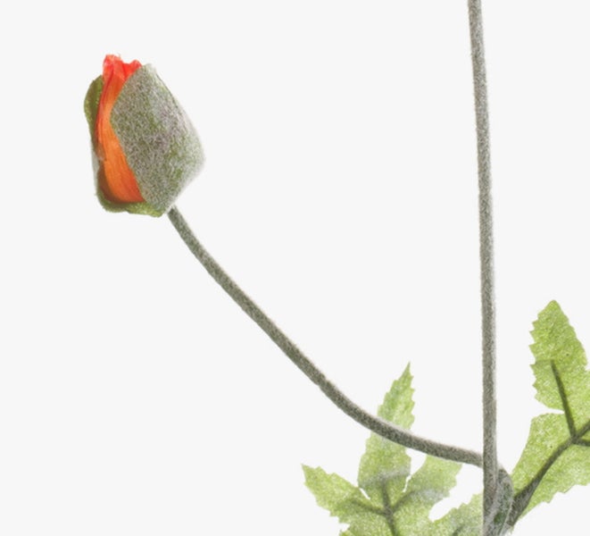 Nahaufnahme einer künstlichen Mohnknospe mit orangefarbenen Blütenblättern sowie flauschigem Stiel und Blättern.