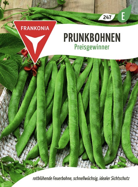 Samenpackung Prunkbohnen