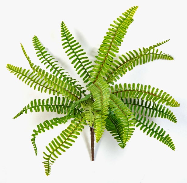 Künstliche Monstera Adansonii Pflanze mit grünen, gelochten Blättern.