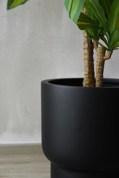 Schwarzer zylindrischer Pflanzkübel mit einer grünen Dracaena Zimmerpflanze.