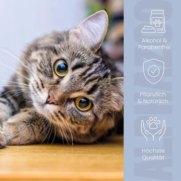 Katze mit Symbolen für alkoholfrei, parabenfrei, pflanzlich, natürlich und höchste Qualität