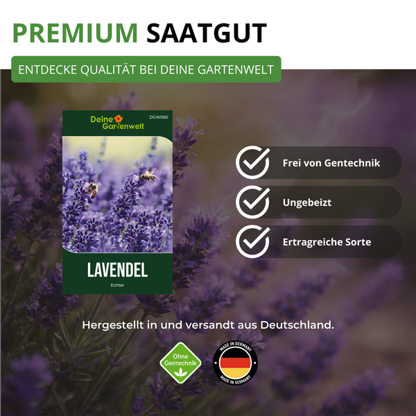 Premium Saatgut Lavendel Echter von Deine Gartenwelt. Frei von Gentechnik, ungebeizt und eine ertragreiche Sorte. Hergestellt in Deutschland.