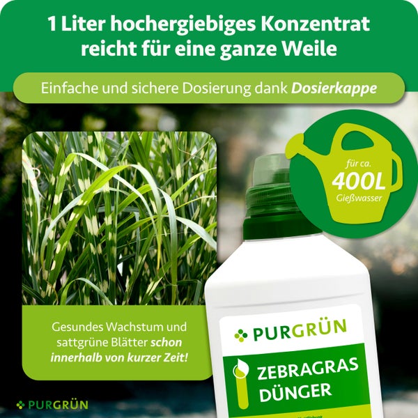 Purgrün Zebragras Dünger Konzentrat 1 Liter für circa 400 Liter Gießwasser, mit Dosierkappe für gesundes Wachstum. Purgrün Logo.