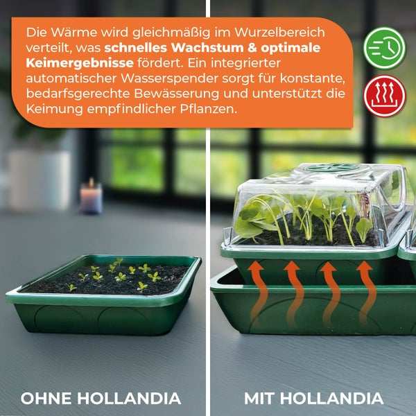 Beheizter Anzuchtkasten Hollandia mit den Maßen L 54 x B 21 x H 17 cm