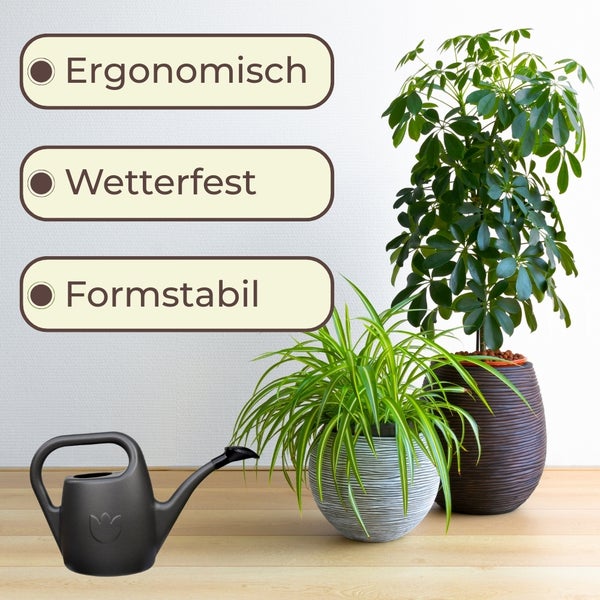 Dekorative Zimmerpflanzen mit Gießkanne, hervorgehobene Eigenschaften: ergonomisch, wetterfest und formstabil